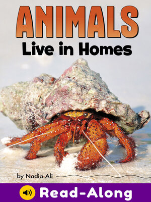cover image of Animals Live in Homes